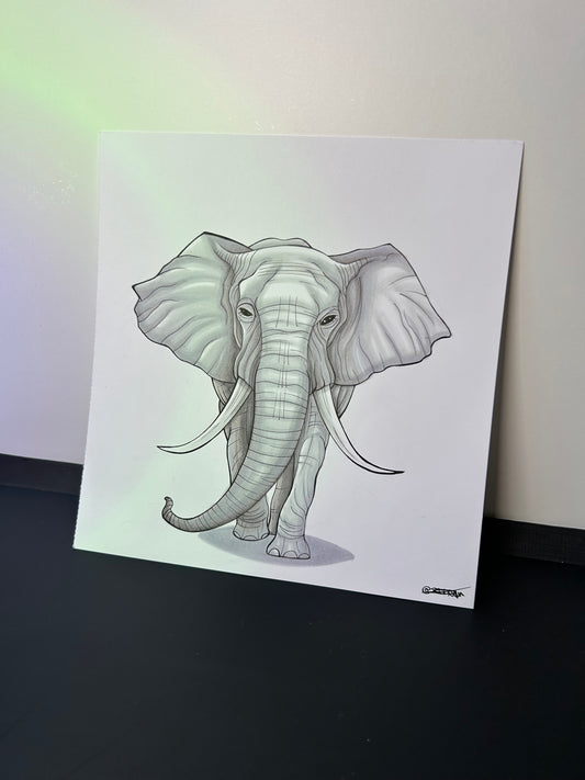 Elephant d'Afrique